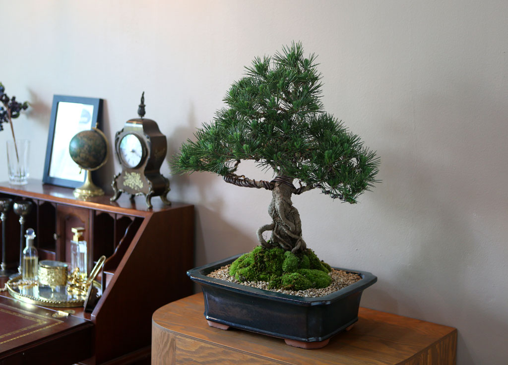 []Office&Nature - ޺ ؼ()  ɹ