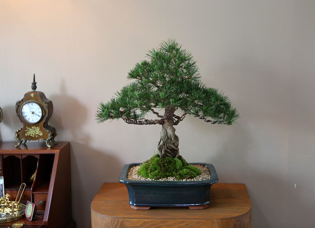 []Office&Nature - ޺ ؼ()  ɹ