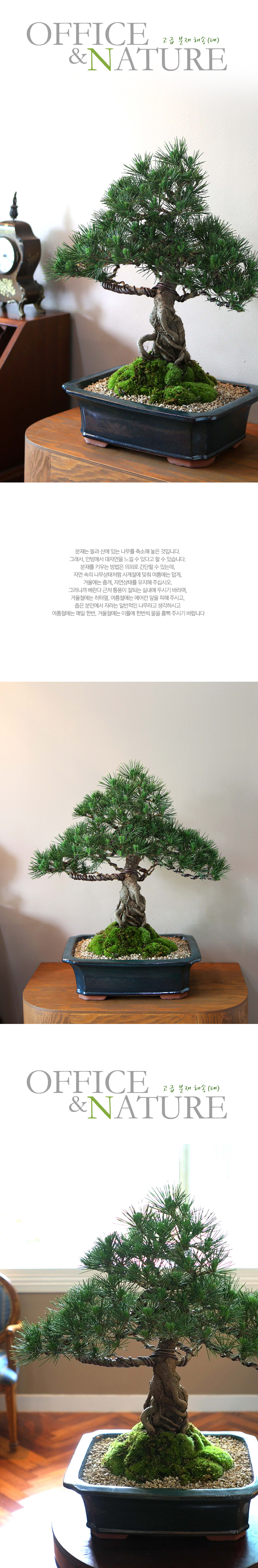 []Office&Nature - ޺ ؼ()  ɹ