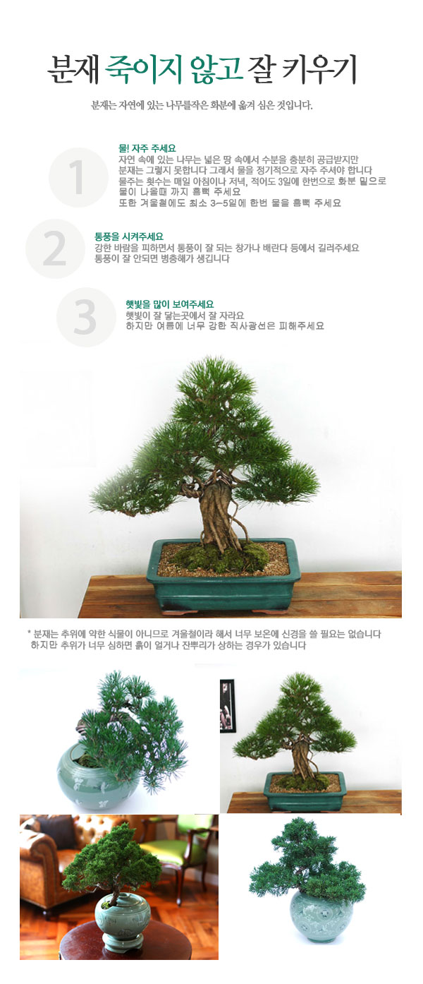 []Office&Nature -  ڱ ؼ  ɹ