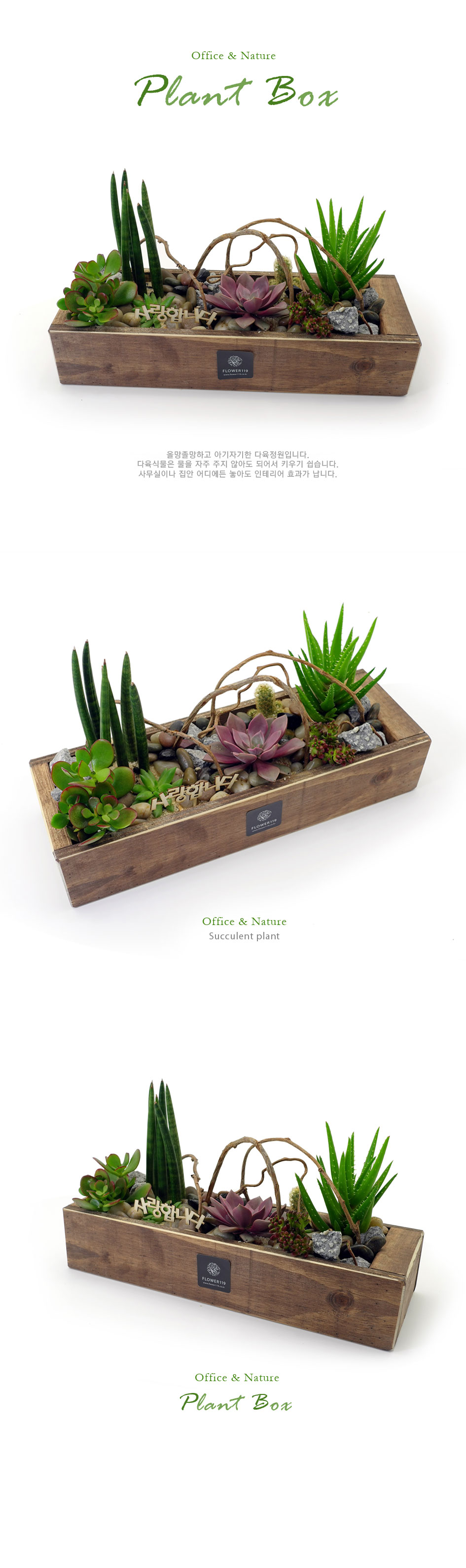 [] Office & Nature - Plant Box  ɹ