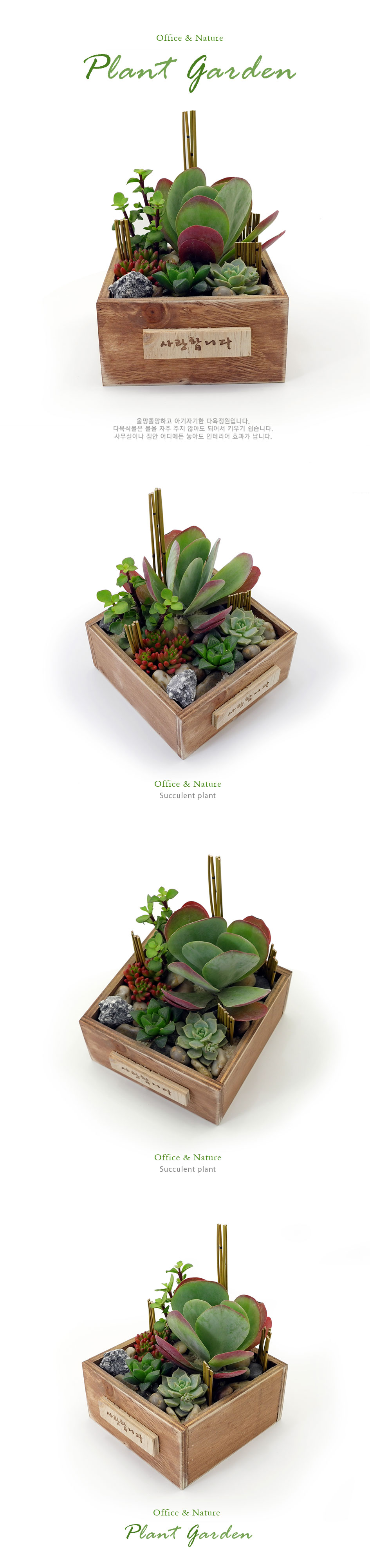 [] Office & Nature - Plant Garden  ɹ