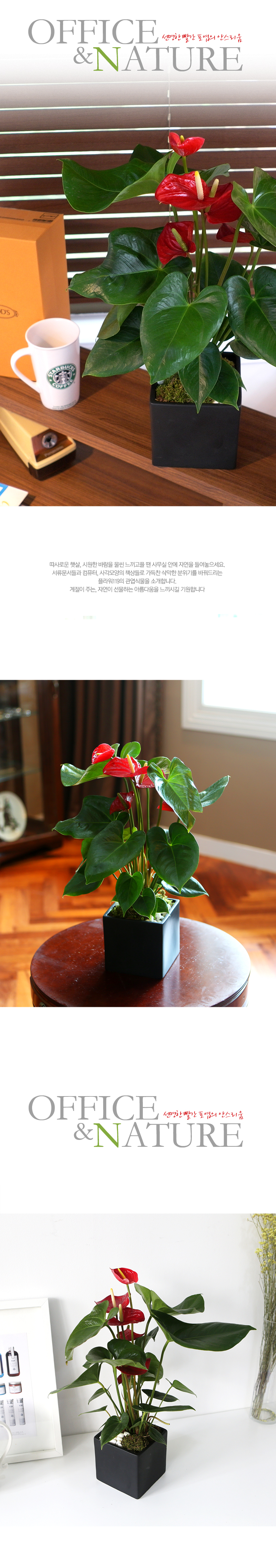 Office&Nature -    Ƚ  ɹ