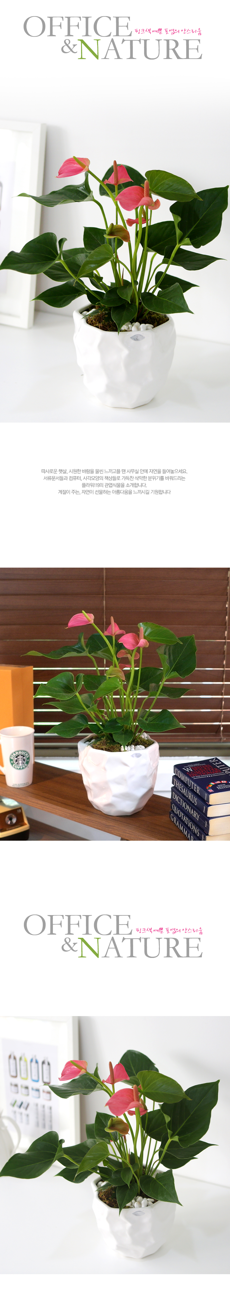 Office&Nature - ũ   Ƚ  ɹ