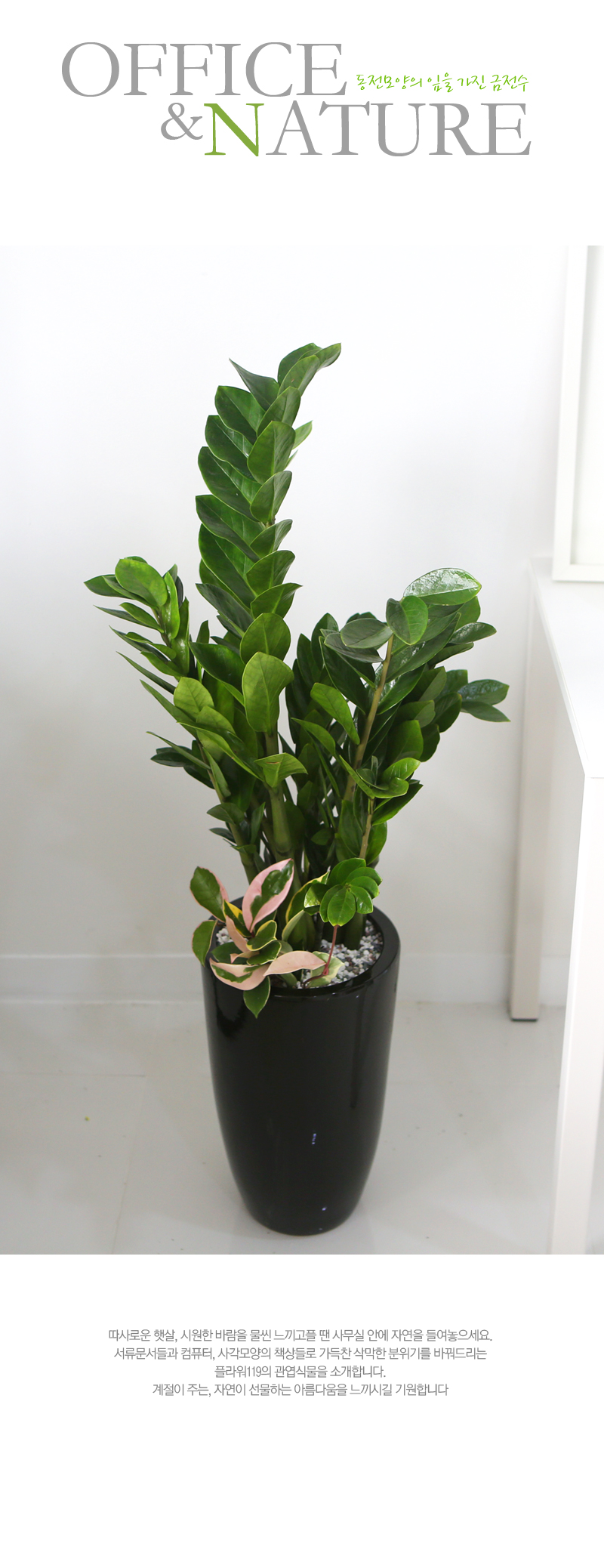 Office&Nature -   (ȭⰡ   ֽϴ.)