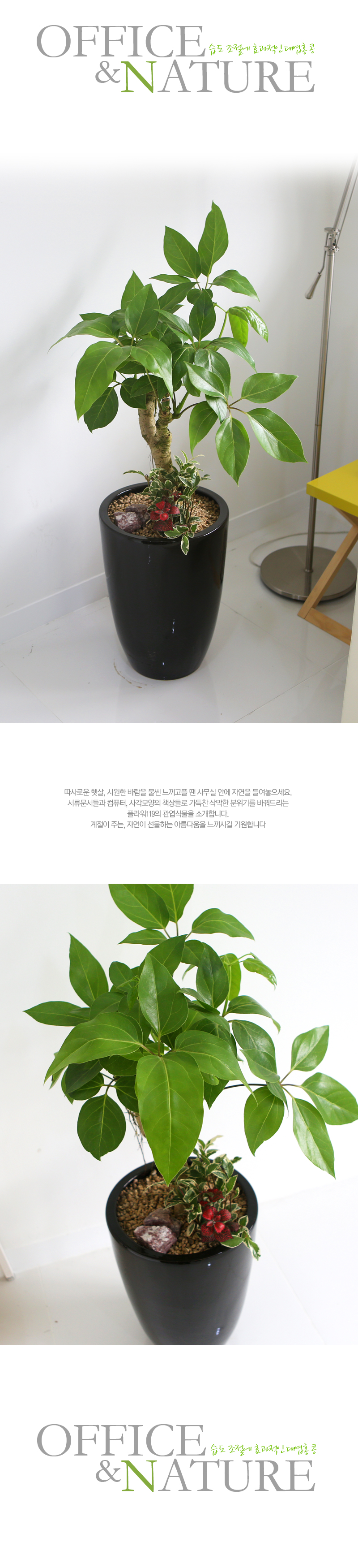 Office&Nature -   ȿ 뿱ȫ(ȭⰡ   ֽϴ.)  ɹ