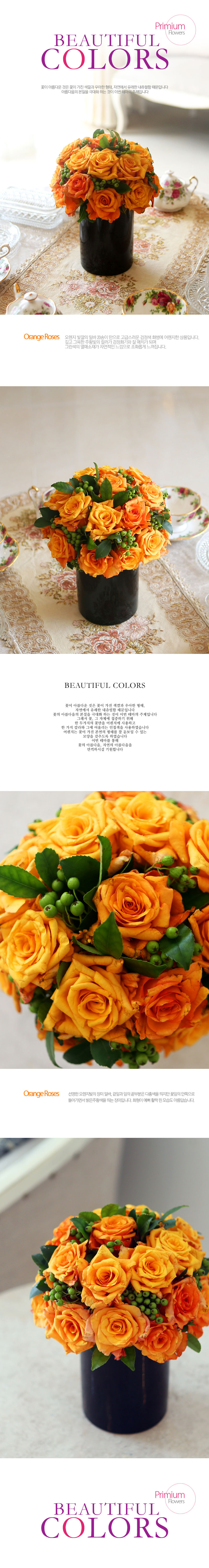 [] Beautiful colors - Orange roses  ɹ