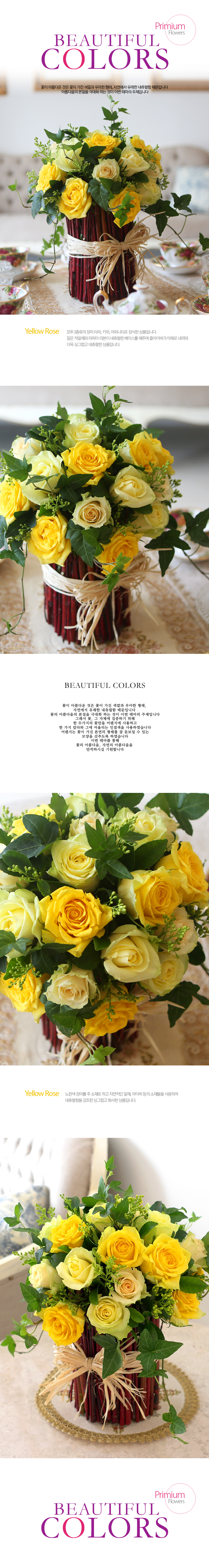 [] Beautiful colors - Yellow Roses(ȭ   ֽϴ)  ɹ