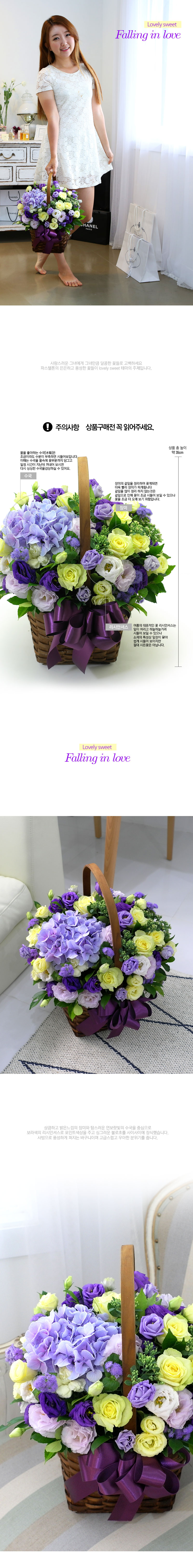 [] Lovely sweet - Falling in love  ɹ