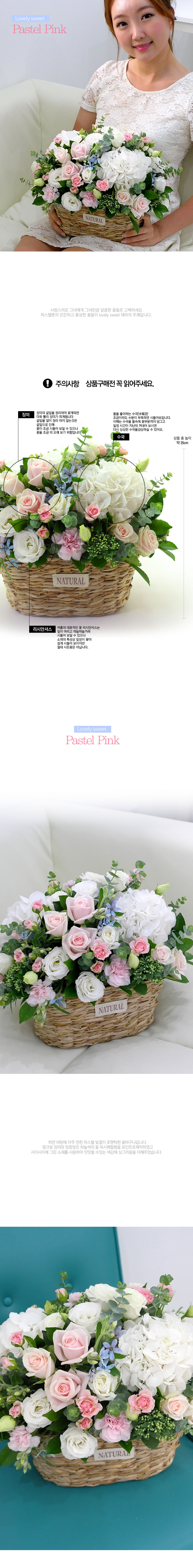[] Lovely sweet - Pastel Pink  ɹ