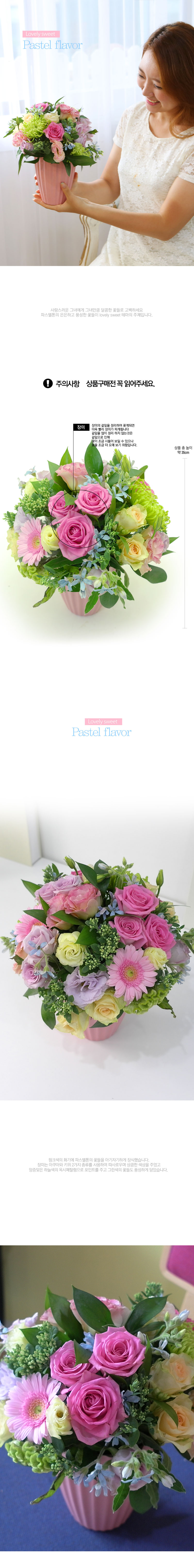 [] Lovely sweet - Pastel flavor  ɹ