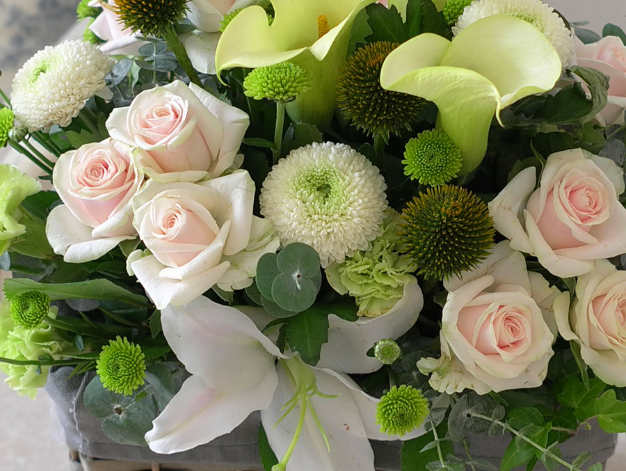 [] Lovely sweet II - Applause  ɹ