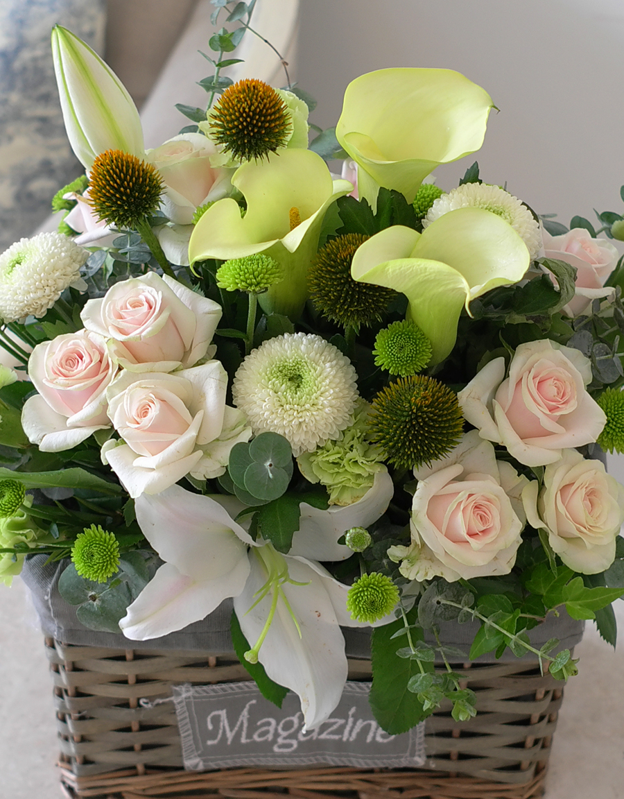 [] Lovely sweet II - Applause  ɹ