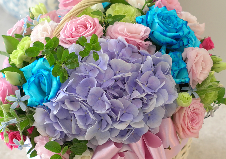 [] Lovely sweet II - Pastel LUV(*ٱϺ)  ɹ