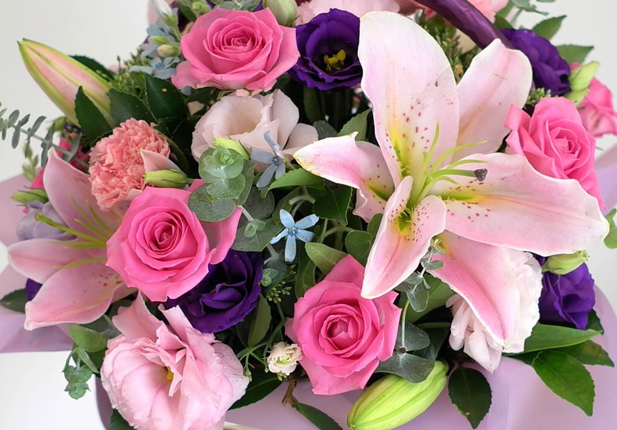 []Lovely sweet II - Joyful