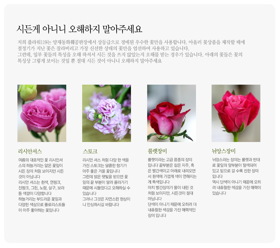 []Lovely sweet II - Joyful