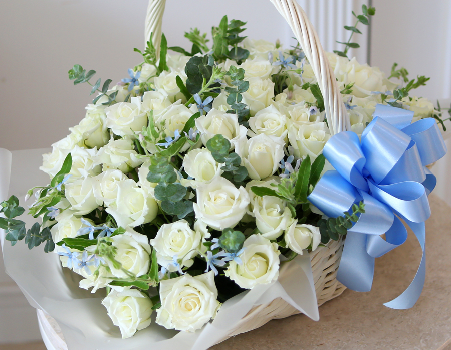 [][100] Lovely sweet II - White blossom  ɹ