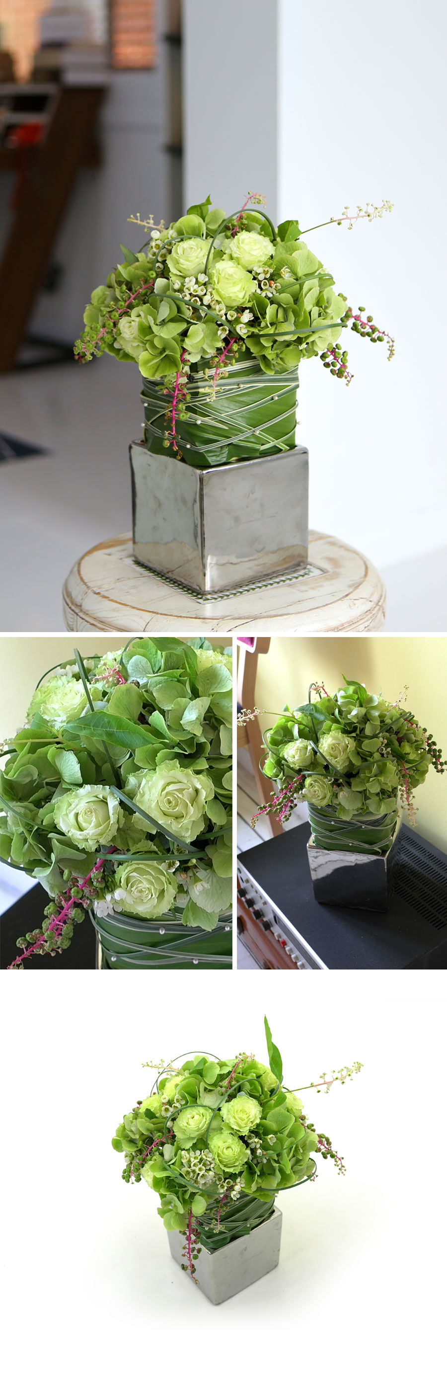 []  Modern & Natural - Catch Me If You Can