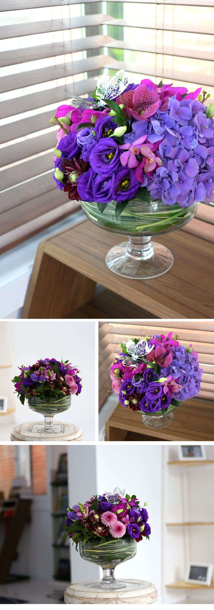 [] Modern & Natural - My Sunshine  ɹ