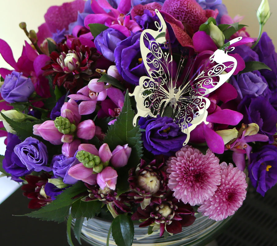 [] Modern & Natural - My Sunshine  ɹ