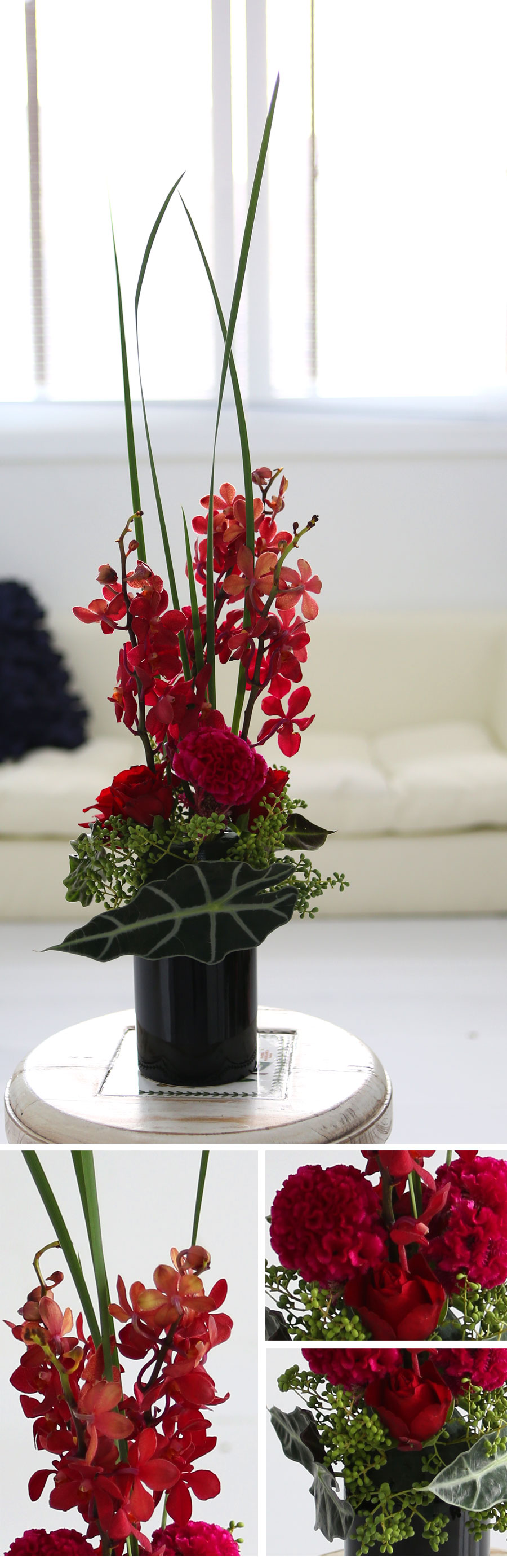 [/Ϻ]  Modern & Natural - ϴ  Ͽ  ɹ