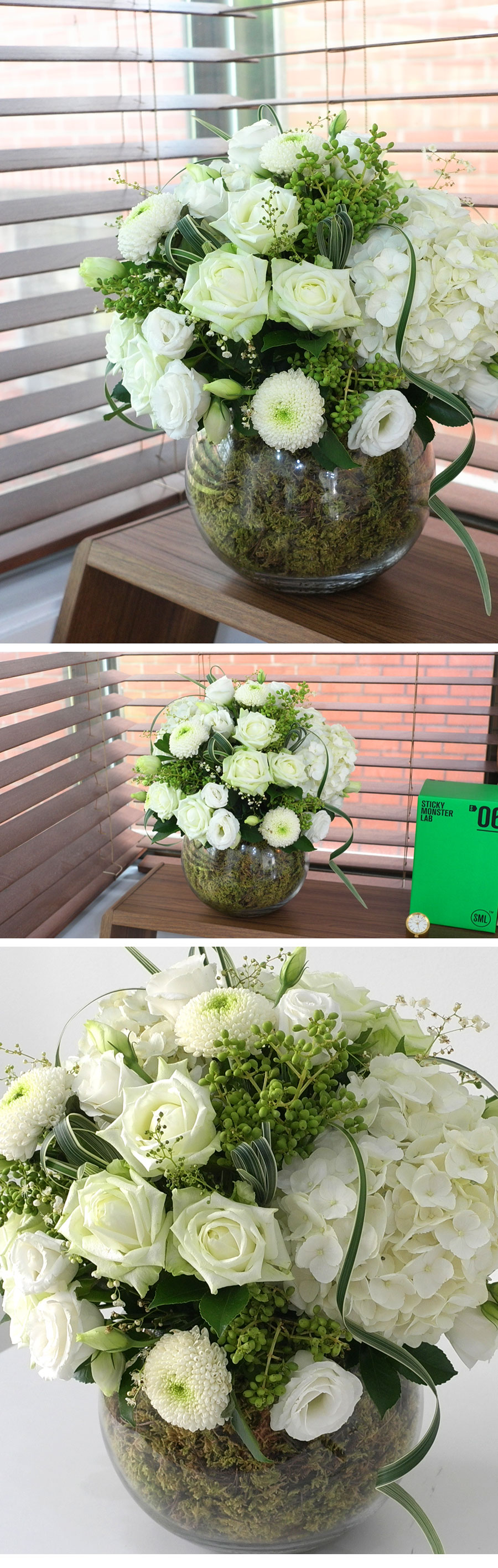 [/ Ϻ]  Modern & Natural - Natural Pure  ɹ