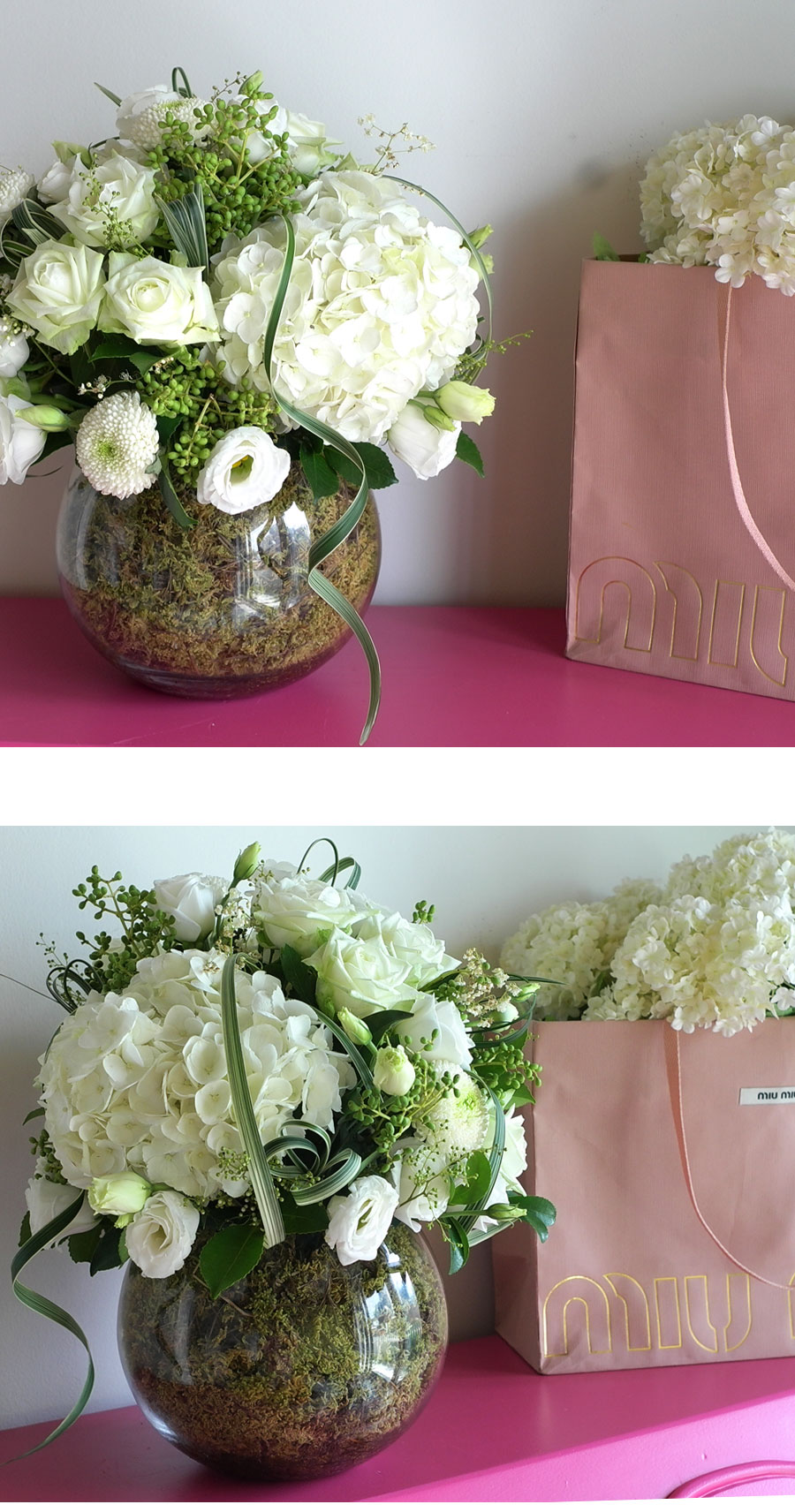 [/ Ϻ]  Modern & Natural - Natural Pure  ɹ