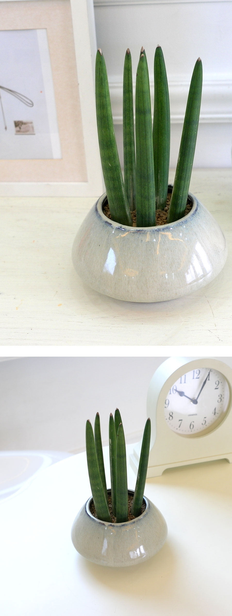 [ǹ] ȭĹ - ƩŰA  ɹ