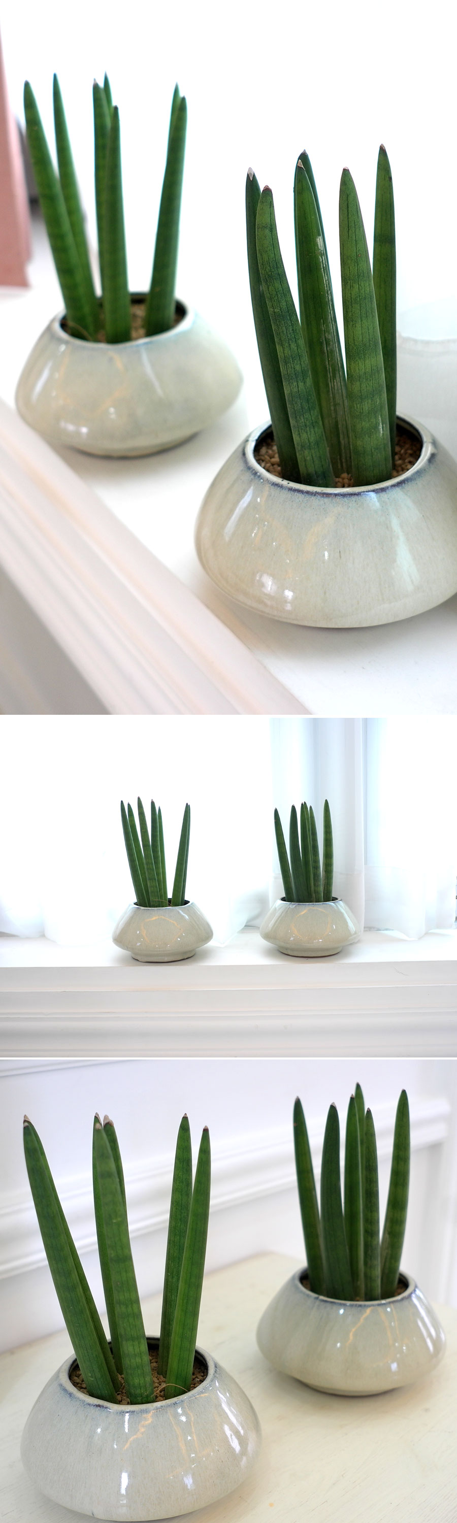 [ǹ] ȭĹ - ƩŰ 2set  ɹ