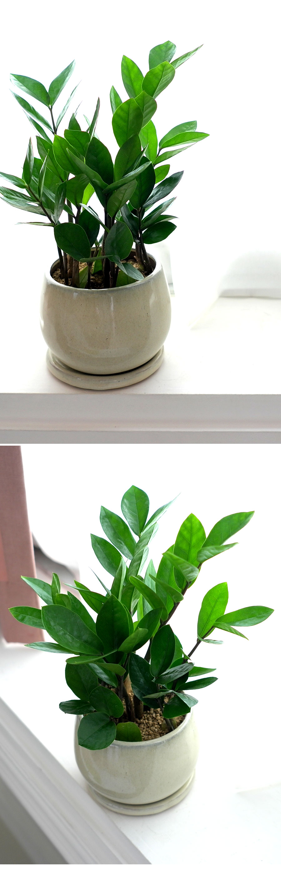 [ǹ] ȭĹ - B ***ȭ⺯***