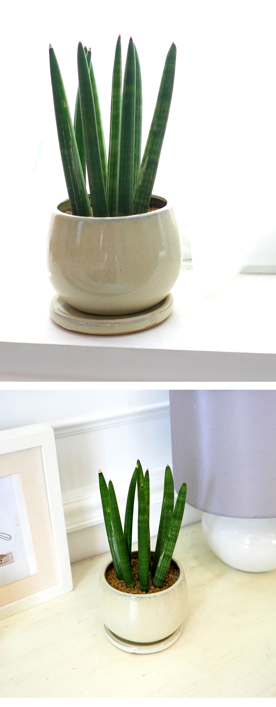 [ǹ] ȭĹ - ƩŰB  ɹ