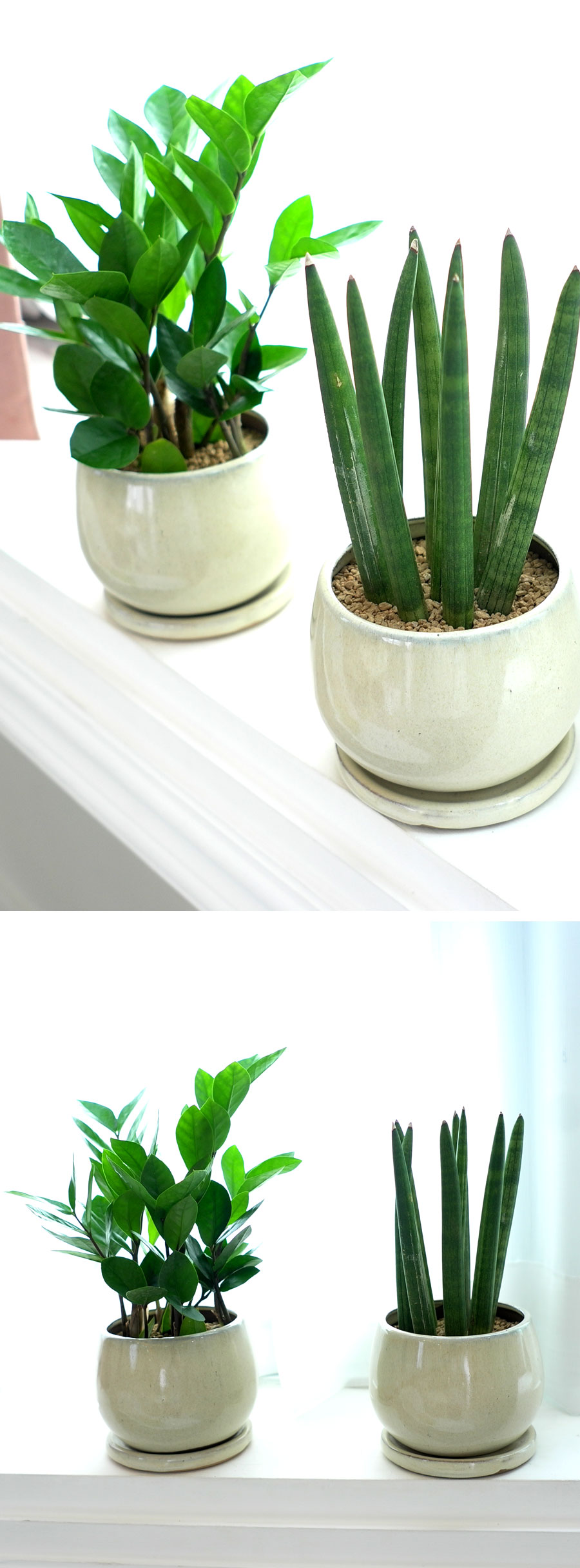 [ǹ] ȭĹ - ƩŰ  ***ȭ   ***  ɹ