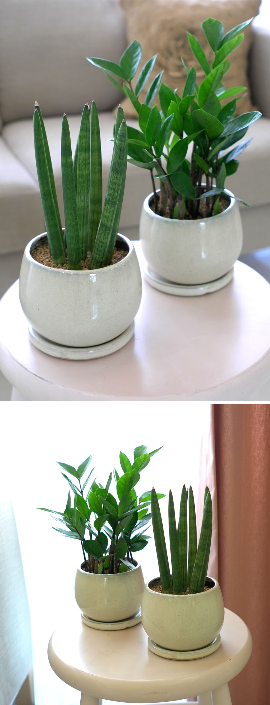 [ǹ] ȭĹ - ƩŰ  ***ȭ   ***  ɹ