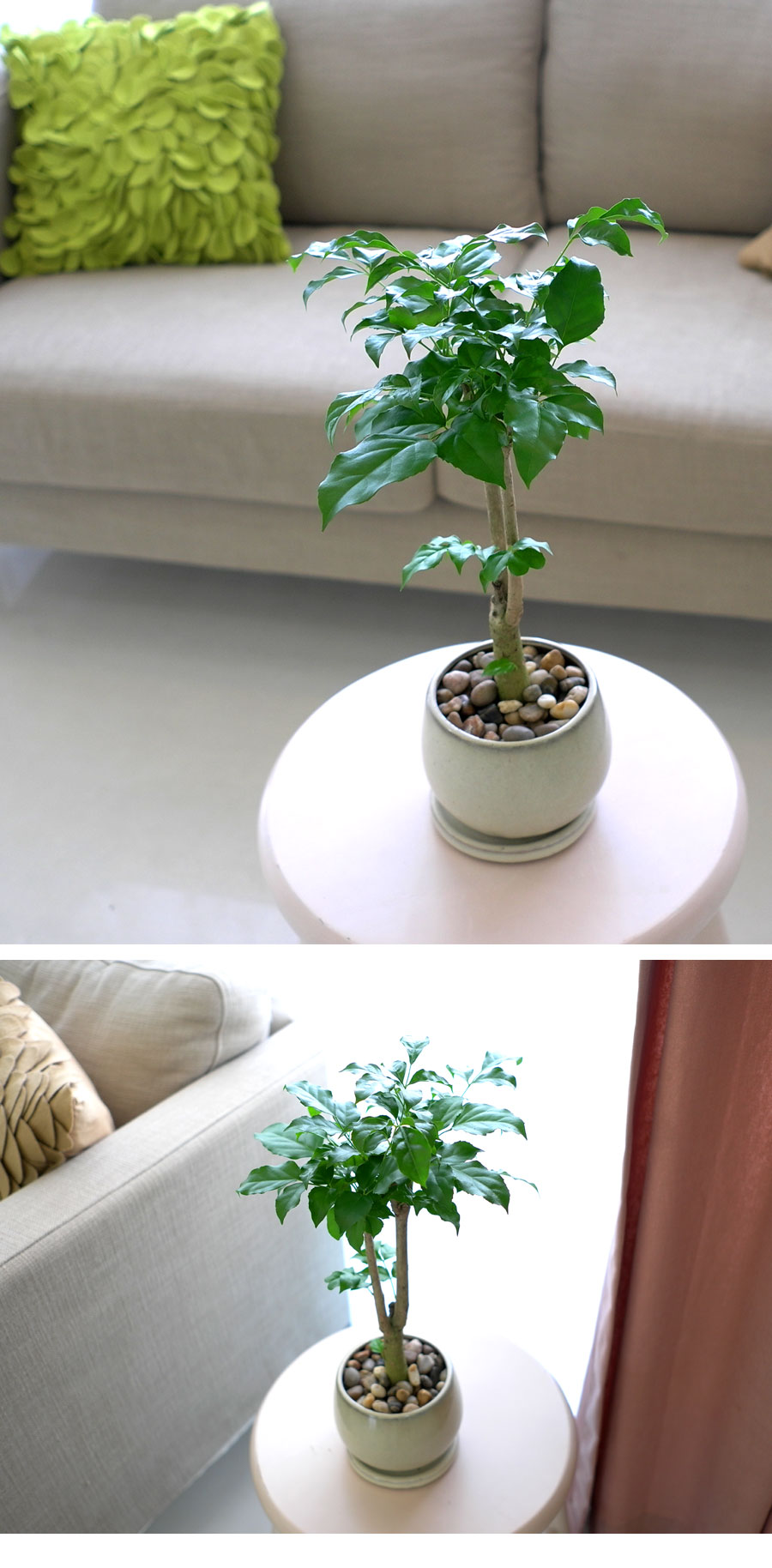 [ǹ] ȭĹ - 캸B*ȭǰ ٸȭ ˴ϴ*  ɹ