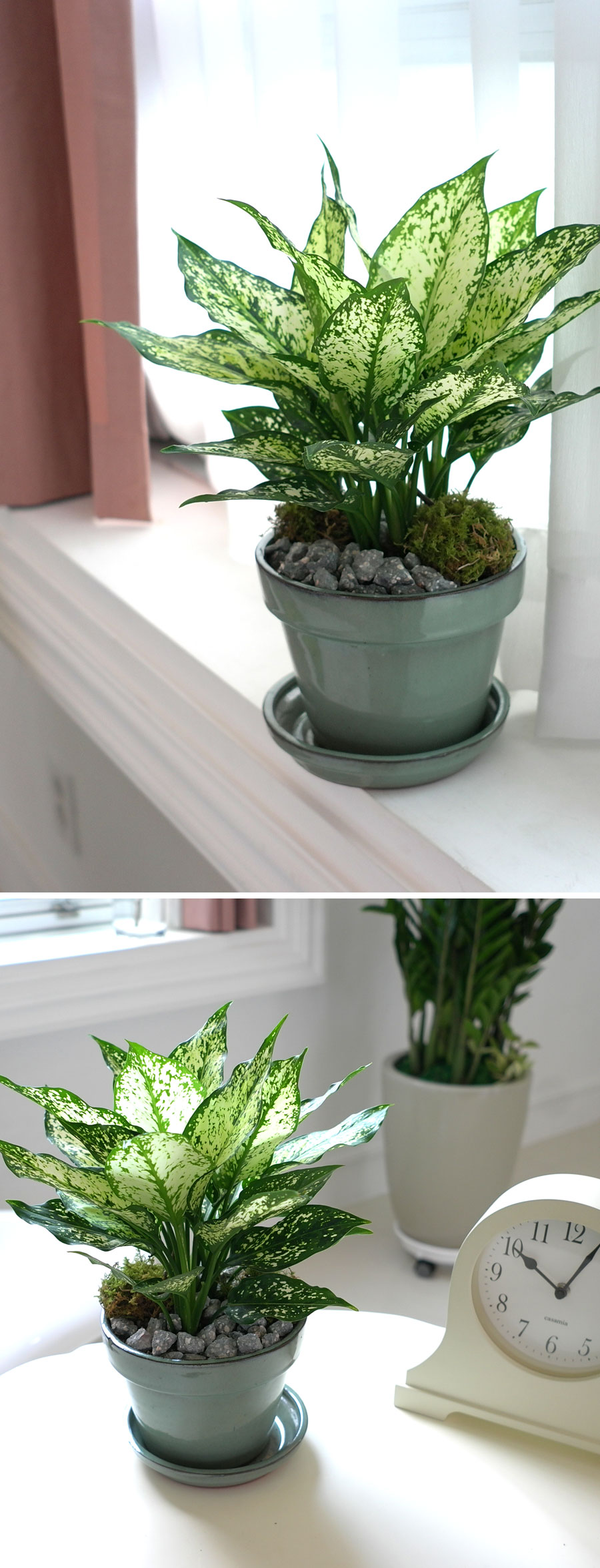 [ǹ] ȭĹ - ̾(ȭǰ ٸȭδü)