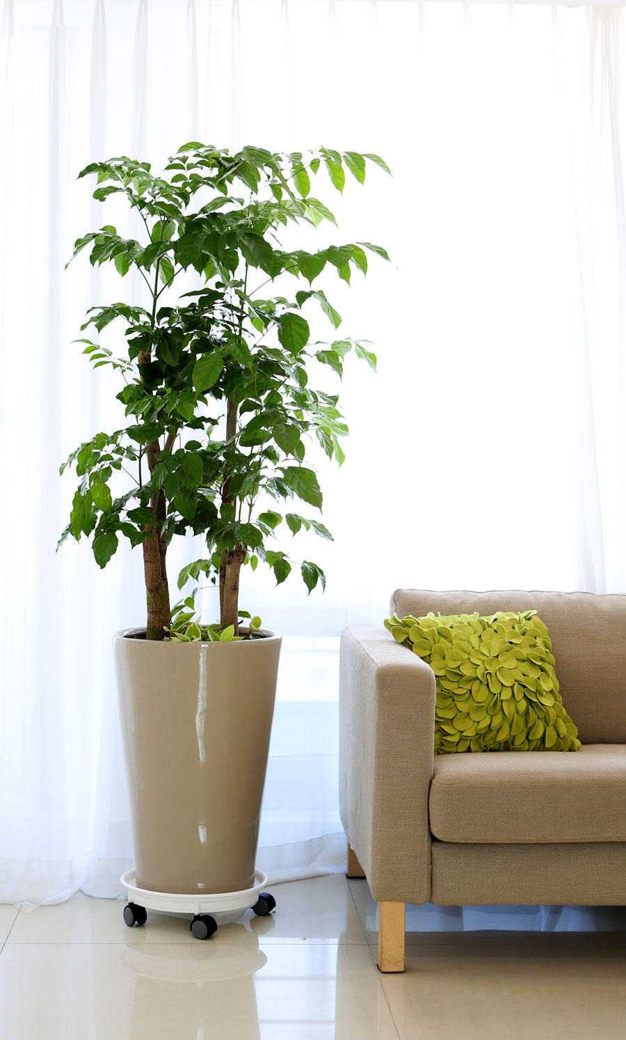 ½ÉÇà °ü¿±ÈºÐ - ³ìº¸¼ö