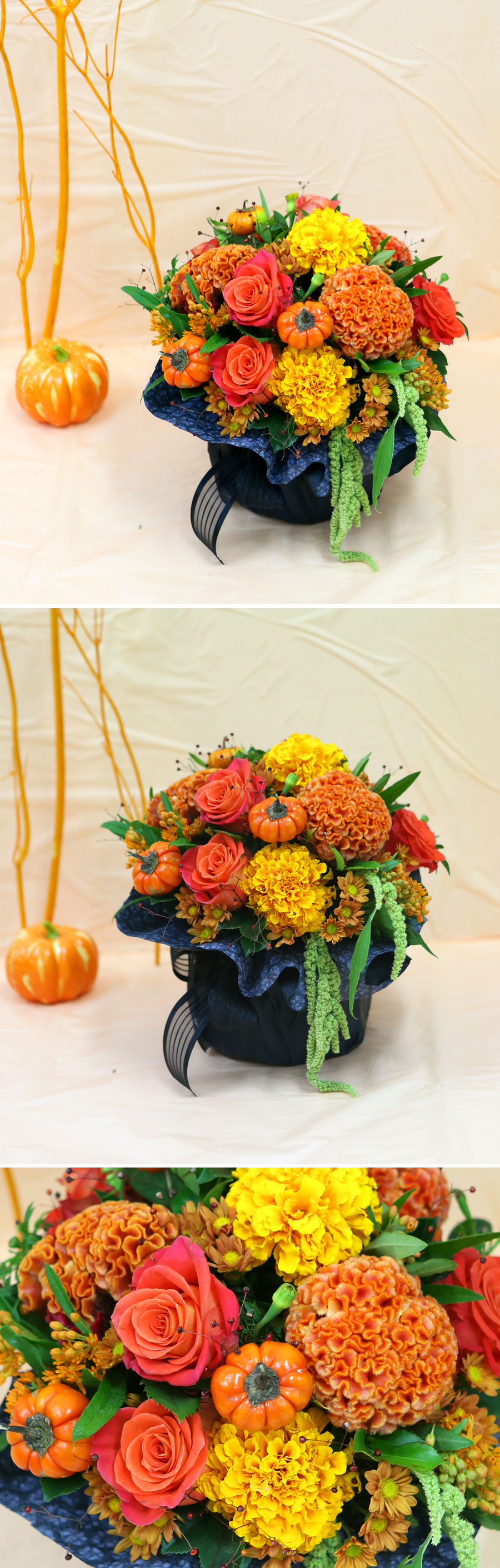 [] Magical halloween - Pumpkin  ɹ