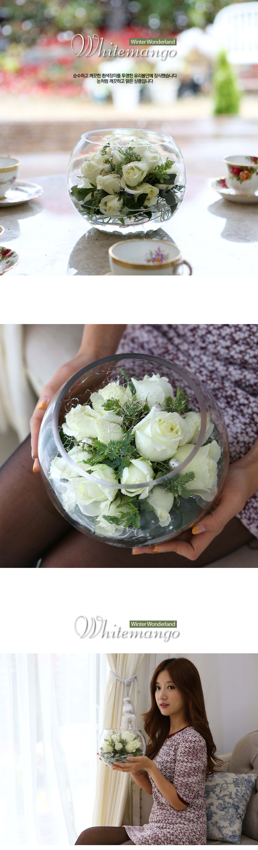 [] Winter Wonderland - Whitemango  ɹ