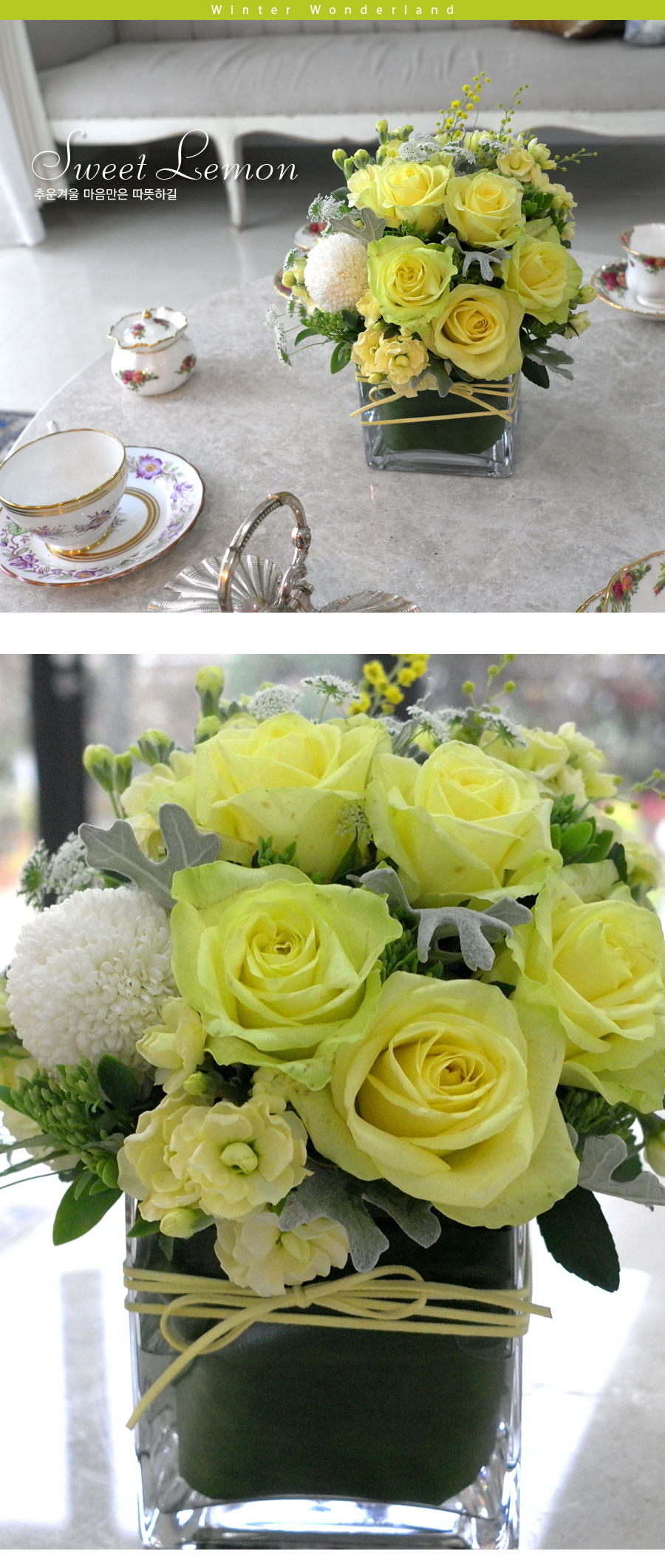 [] Winter Wonderland - Sweet Lemon  ɹ