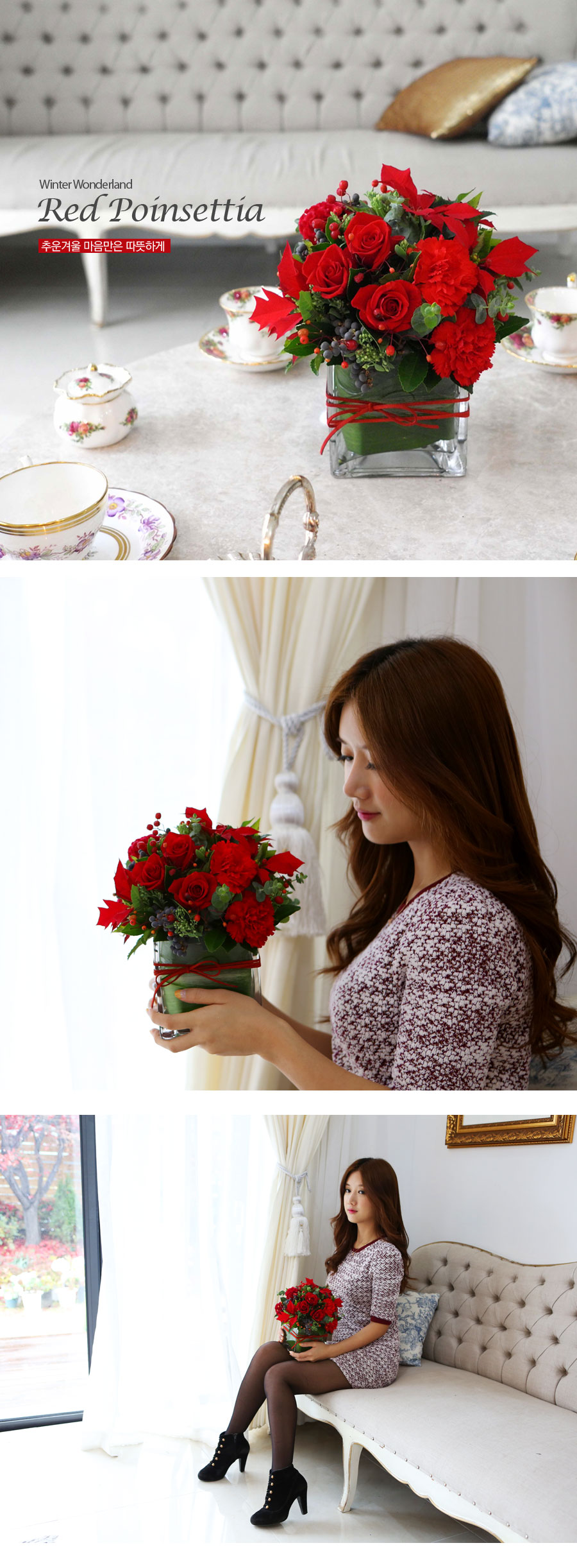 [] Winter Wonderland - Red Poinsettia