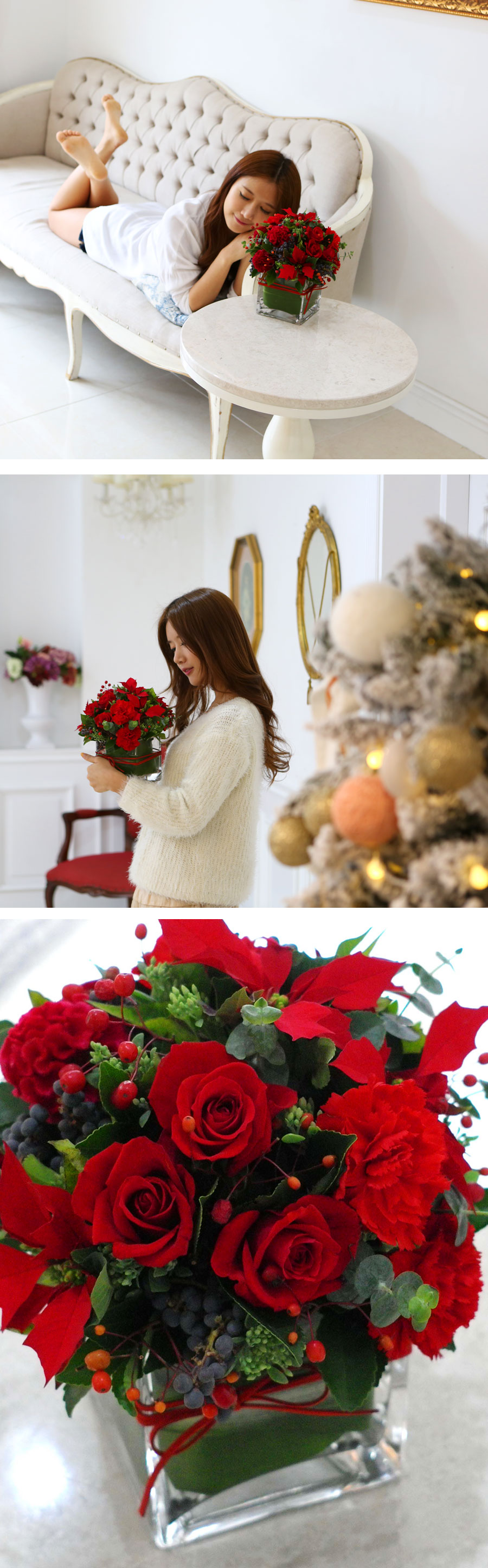 [] Winter Wonderland - Red Poinsettia