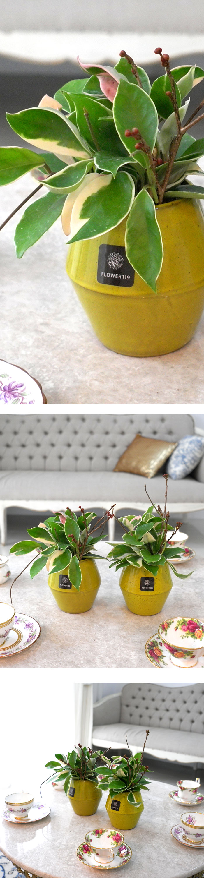 [������] �Ϳ��� ȣ�� 2set/ȭ�⺯�氡�� ���� �ɹ��