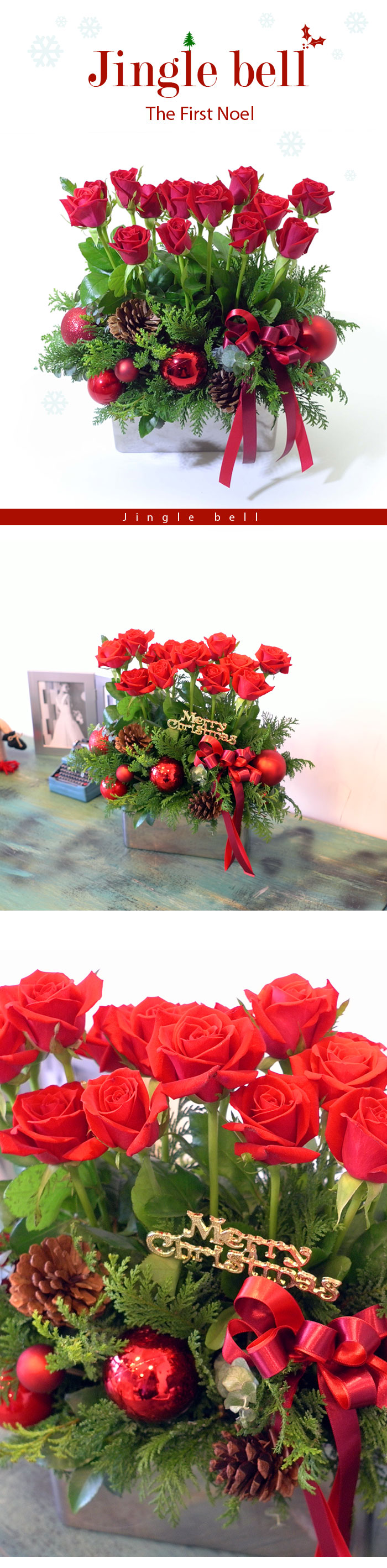 [] Jingle bell - The First Noel  ɹ