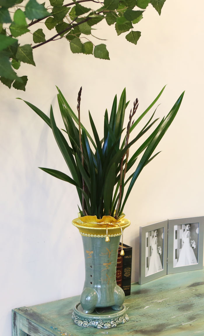 °Ü¿ïµ¿¾ç¶õ »êõº¸¼¼ ²ÉÁý ²É¹è´Þ