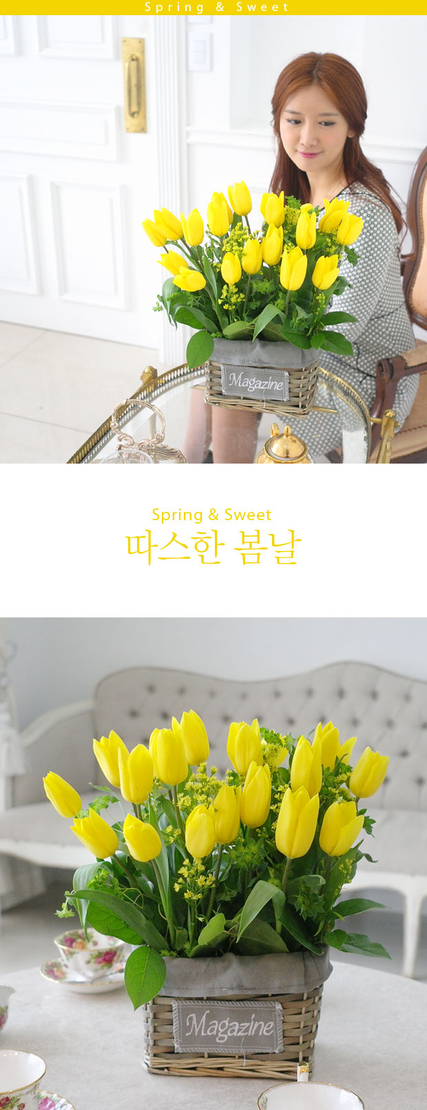 [] Spring & Sweet -   *ٱϺ*  ɹ