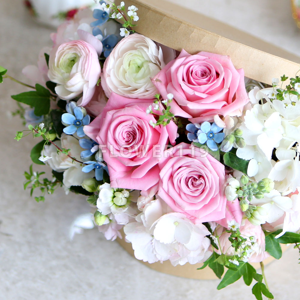 [] Spring & Sweet - sweet sugar  ɹ