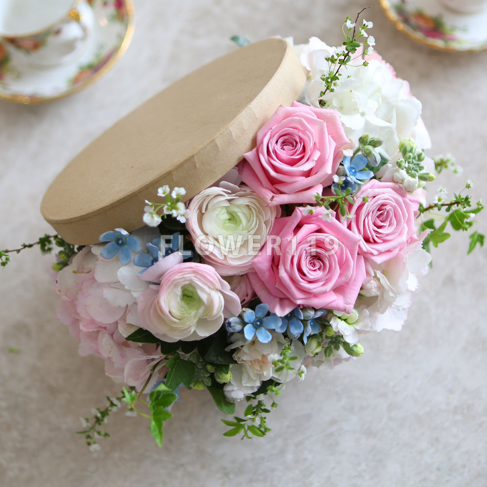 [] Spring & Sweet - sweet sugar  ɹ