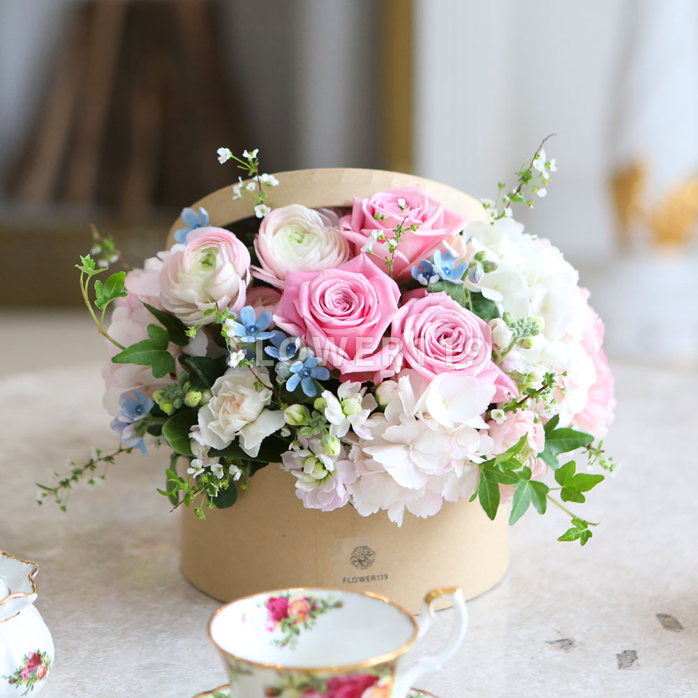 [] Spring & Sweet - sweet sugar  ɹ