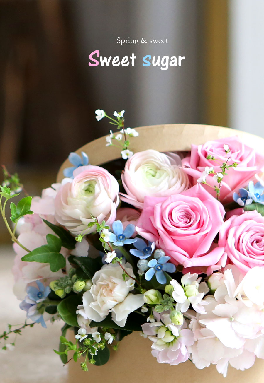 [] Spring & Sweet - sweet sugar  ɹ