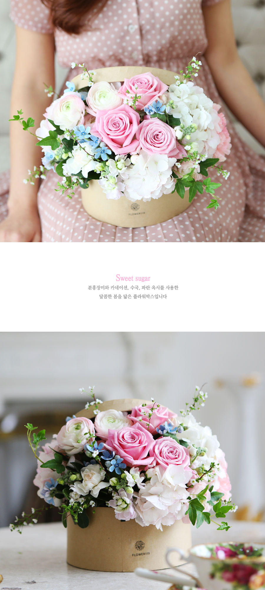 [] Spring & Sweet - sweet sugar  ɹ